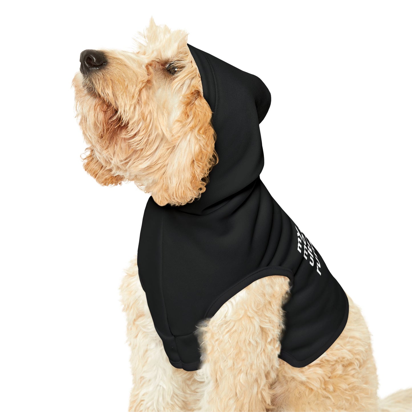 My Mom is an Effin' Ultra Runner Pet Hoodie