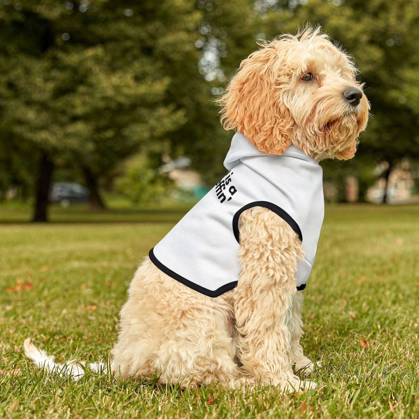 Dog Mom Dog Hoodie!